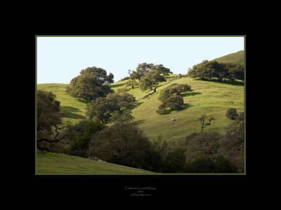 Gold Country