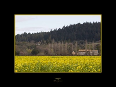 Alexander Valley