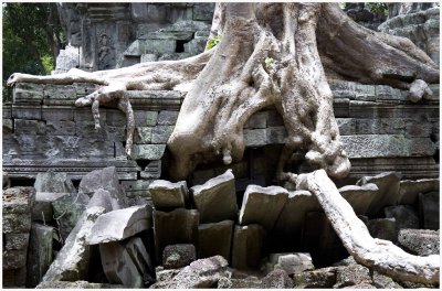 Ta Prohm