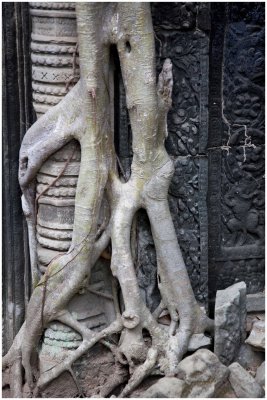 Ta Prohm