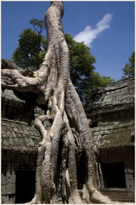 Ta Prohm
