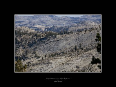 Emigrant Wilderness Area - From Borland Meadows