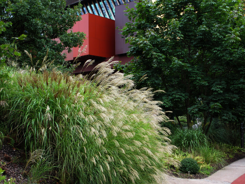 Muse du Quai Branly