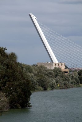 Puente del Alamillo (designed by Santiago Calatrava)