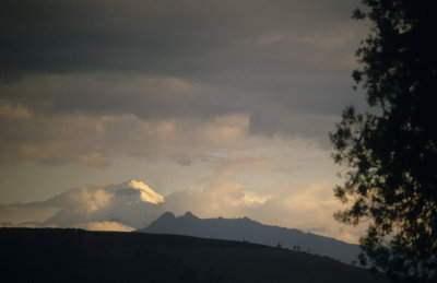 View on Cotopaxi
