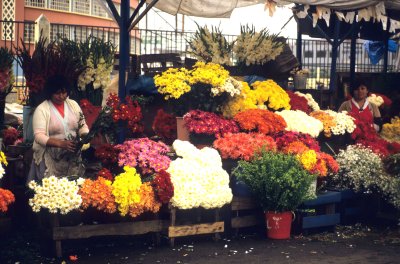 Lima. Flower market