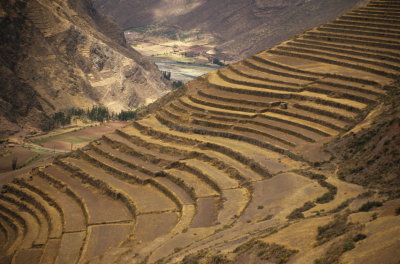 Terraces in the Urubamba Valley