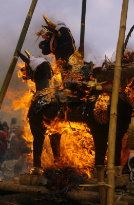Bali Cremation Ceremony