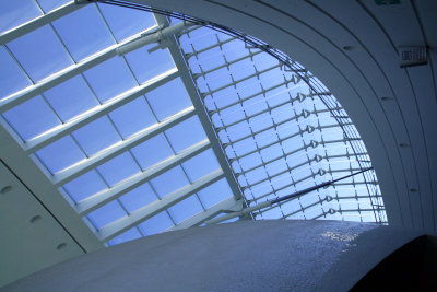 080131 165.jpg
