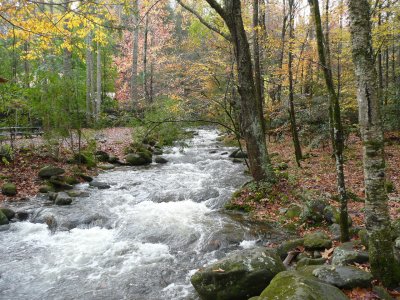 Jellystone Campground - after the rains came