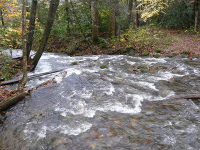 Creek behind campground - look for the guard rail that was laid down to cross it!