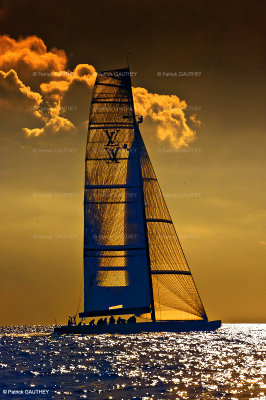 Louis Vuitton trophy 0571.jpg