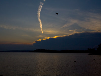 Contrail