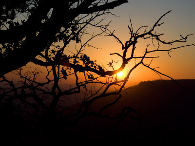 Mt Nebo
