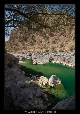 Wadi Arbean - Qurayat