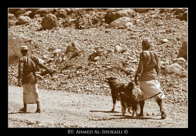 people of Wadi Arbean