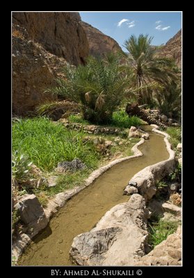 Wadi Arbean - Qurayat