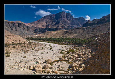 Wadi Al-Arabeen