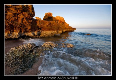Ras Al-Hadd Beach