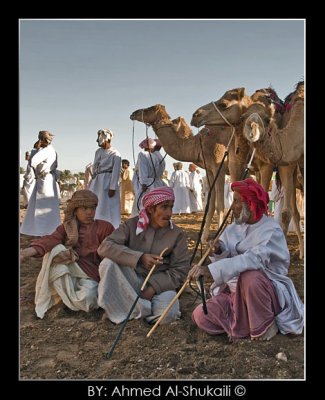 Memories from Camel Race Show