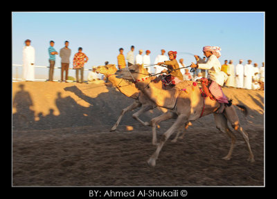 Memories from Camel Race Show