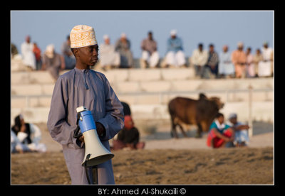 Commentator in Bull Fight