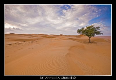 Wahiba Sands - Alone in the sands