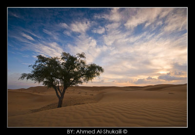 Wahiba Sands - Alone in the sands