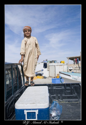 Kid at the fishing port