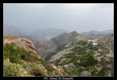 _DSC0284 copy.jpg