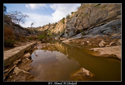 _DSC6303 copy.jpg