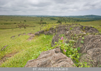 Road to Tawi Attair