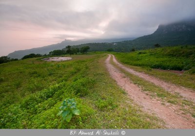 Dhalkout hills