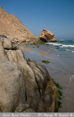 Hasek Beach