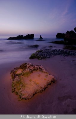 Spot Light :)