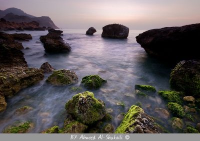 Rocky Beach