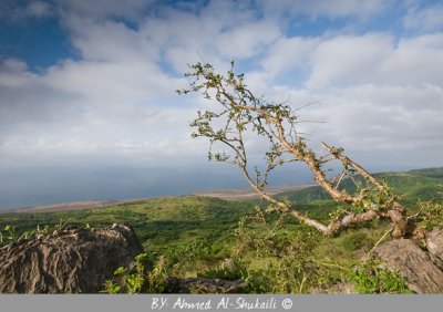 Darbat Mountains