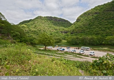 Darbat