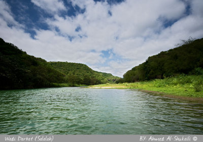Darbat