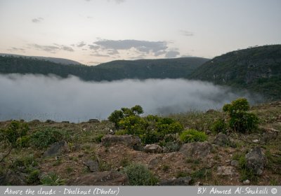 Above the Clouds - Dhalkout