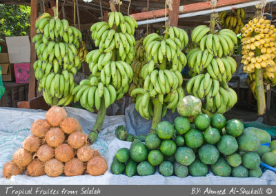 Tropical Fruits