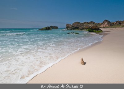 Al-Fazaieh Beach