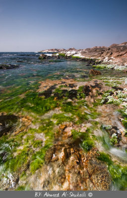 Al-Mahela Beach (Sadah)