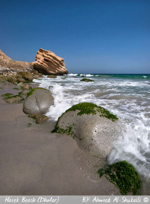 Hasek Beach