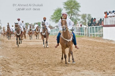Jalaan Horse Show