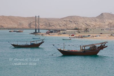 Dhows of Sur