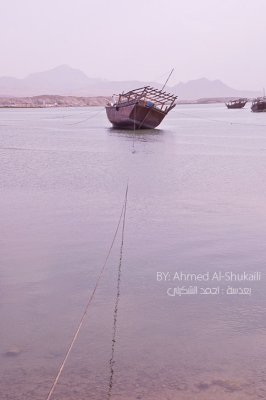 Dhows from Sur