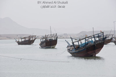 Dhows from Sur