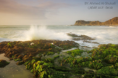 A Splash into the rocks