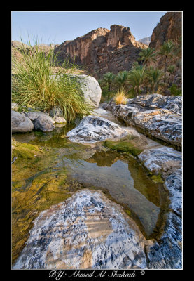 Wadi Bani Awuf